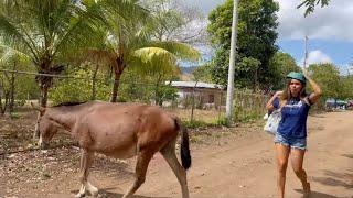 La felicidad de vivir en el campo 