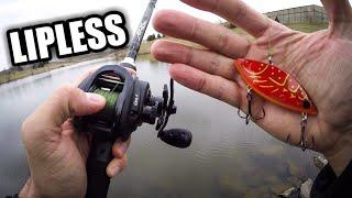 Spring Pond Fishing with a Cotton Cordell Lipless Crankbait