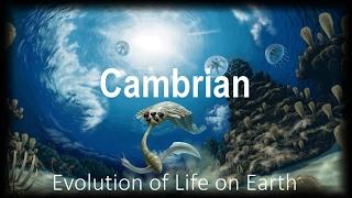 The Evolution of Life part 2 : Cambrian