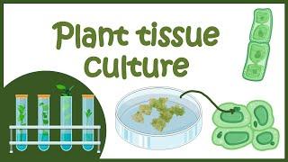 Plant tissue culture overview |