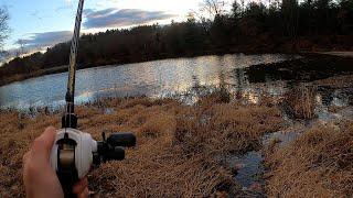 Bank Fishing w/ Rapala Meaty Clackers in Late Fall (a.k.a Bronco Bug)