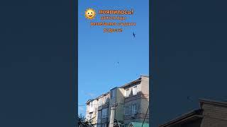 Погода классная