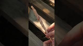 Unexpected Way To Grill Bacon!  Can You Feel This Taste?