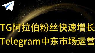 如何快速增加Telegram阿拉伯粉丝？真实有效的方法曝光，精准引流方法全公开｜Telegram群与频道快速涨粉秘籍【阿拉伯粉独特技巧】#telegram涨粉