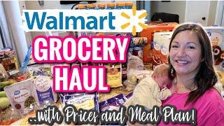 WALMART GROCERY HAUL | SLOWLY GETTING BACK TO NORMAL | GROCERY HAUL WITH PRICES AND MEAL PLAN