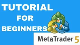 Meta Trader 5 Mobile Tutorial for Beginners (2024)
