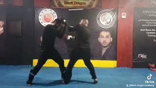 training jeetkunedo master rabih hamzeh