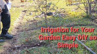 Irrigation Made Simple by Grow Family Network... At Home DIY