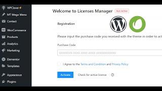 How to Activate the Theme's License (Envato Item Purchase Key) - Customizer Theme Panel
