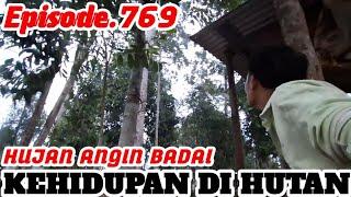 HEWAN BERBISA MASUK PONDOK WIRTA KUNIL KUNIL SAAT HUJAN ANGIN BADAI | DI HUTAN Eps. 769