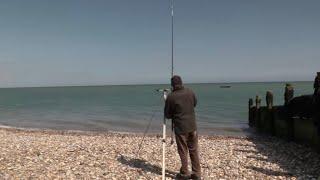 Back on the Beach Fishing Again: Catch & Cook + Storing Worms