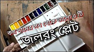 best watercolor palette / সব থেকে ভালো পাঁচটি জলরং দিয়ে ছবি আঁকার প্লেট