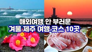 [1, 2월 제주여행 추천코스] 여행 에디터 추천 해외여행 절대 안 부러운 겨울 제주 여행코스 10곳 - 대방어·동백꽃·겨울바다·감귤·오션뷰카페·일몰·관광시장...