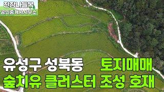 대전 유성구 성북동 토지 매매 | 농로에 접해있는 넓은 면적의 성북동 토지 매매(매매가: 8억 6,200만원)