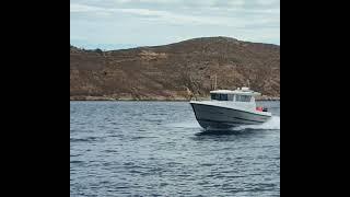 Sargo 33 entering serifos Port