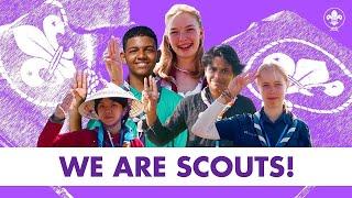 We Are Scouts