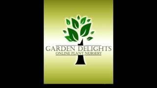 Online Plant Nursery
