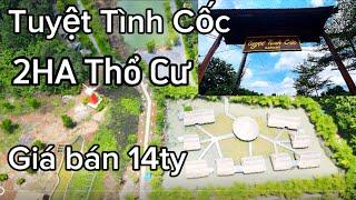 Tuyệt Tình Cốc 2HA có thổ cư quán thu nhập 40tr/ngày do chủ Lớn tuổi nên cần nhượng lại với giá 14ty