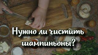 Нужно ли чистить шампиньоны? Особенности приготовления популярного гриба