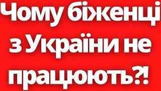 Чому біженці з України не працюють?! Новини Польщі