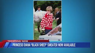 TRENDING: Princess Diana's 'Black Sheep' Sweater is Now Available