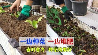 最简单的堆肥——一边种菜，一边堆肥| Grow vegetables while composting|这样堆肥，省时间、蔬菜长得好！