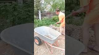 деревенские дела ‍