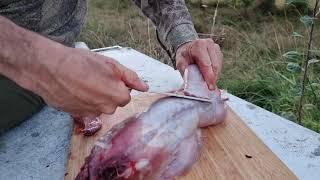 Wild Rabbit ~ Hunt, Clean, Cook, Chomp & Chew ~ Clay Tall Stories