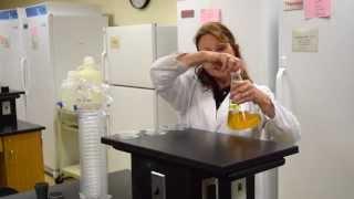 How to Pour Petri Plates - MCCC Microbiology