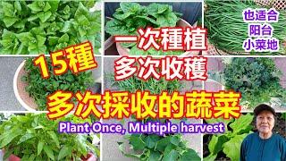 15 vegetables, Plant Once, Multiple Harvest, Suitable for balcony,  pot, beginner, English subtitils