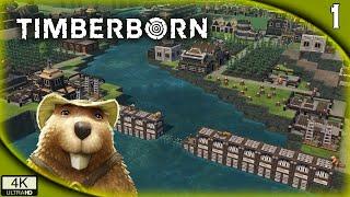 PRIMER CONTACTO | TIMBERBORN Gameplay Español