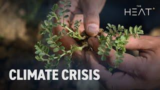 The Heat: Climate Crisis