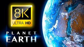 THIS IS PLANET EARTH 8K ULTRA HD • Travel Around the World with Animals 8K & Relaxing Music