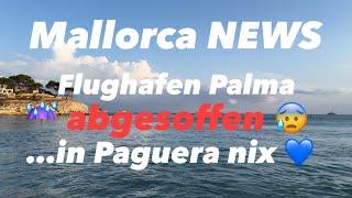 NEWS ️ Palma Flughafen abgesoffen ️ Regen-Flut ️ dann Sonne ️ Paguera  Mallorca 