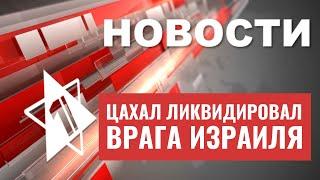 ЦАХАЛ ликвидировал боевика | Атака скорпионов в Израиле | Судебная реформа | НОВОСТИ ОТ 10.08.23