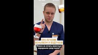 Можно ли лечить животных алкоголем?