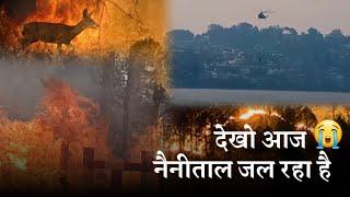 जल रहे है नैनीताल के जंगल, तबाही की और संकेत | Nainital Forest Fire | Uttrakhand Forest Fire 