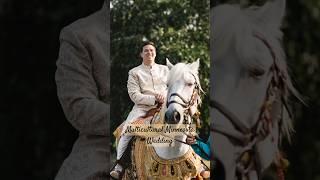 South Asian Wedding. Groom Arrives on Horse; Wedding Guests Shocked #weddingshorts #viralvideo