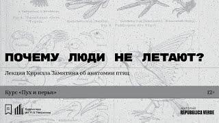 «Почему люди не летают?» Лекция Кирилла Замятина об анатомии птиц