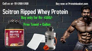 Scitron Ripped Whey Protein Buy now at Proteinbasket.com | call us at-9151685168#scitron #rippedwhey