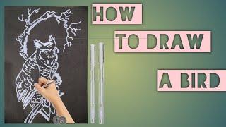 how to draw a bird step by step  #whitemarker #art