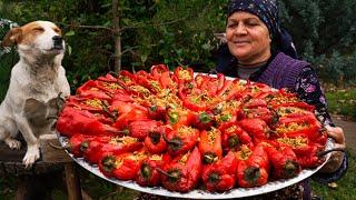 From Garden to Plate | Traditional Stuffed Bell Peppers