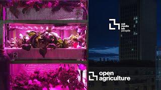 Has the M.I.T. Media Lab’s OpenAG Project Sent Us Backwards?