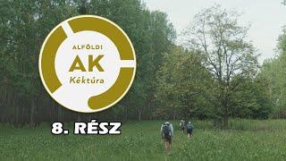 Alföldi Kéktúra: 8. rész - Vekeri-tó - Nyírbátor (88km)