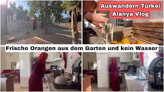 Oh nein, das Wasser ist abgestellt | Auswandern Türkei Alanya Daily Vlog 7. November 2024