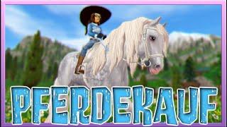 Wir KAUFEN den weißen TINKER  Star Stable Pferdekauf [SSO]