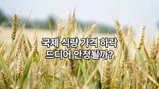 국제 식량 가격 하락… 유지류·설탕·곡물 가격 내림세
