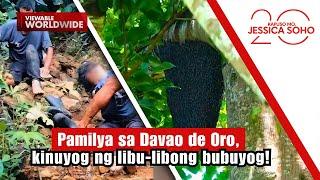 Pamilya sa Davao de Oro, kinuyog ng libu-libong bubuyog! | Kapuso Mo, Jessica Soho