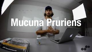 What Are The Benefits Of Mucuna Pruriens?