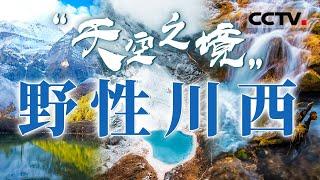 这辈子总要去一次川西！ 天然的自驾游大环线 从成都平原到雪山王国  一起去豪迈的川西寻找灵魂净土！【CCTV纪录】